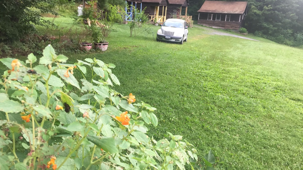 Photo of Others in Shandaken