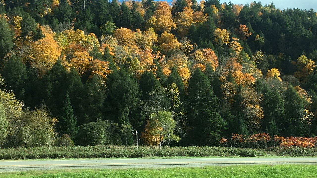 Photo of Others in Schroon Lake