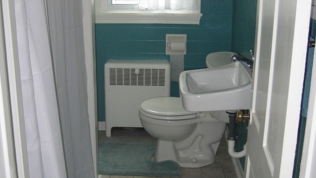 Photo of Bathroom in Trumansburg