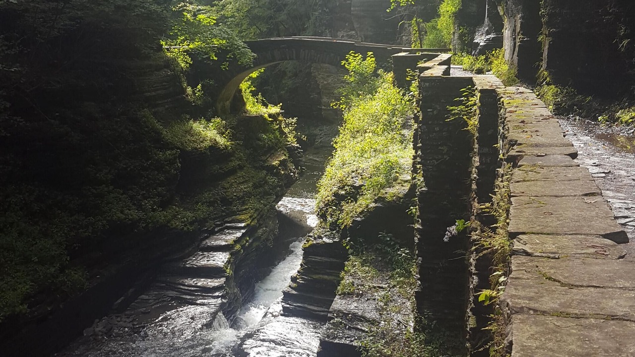 Photo of Others in Trumansburg