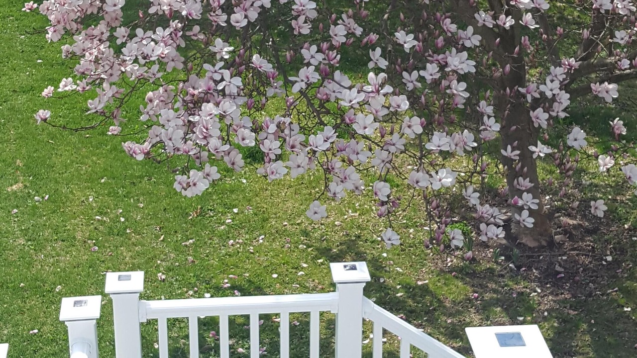 Photo of Outdoor in Trumansburg