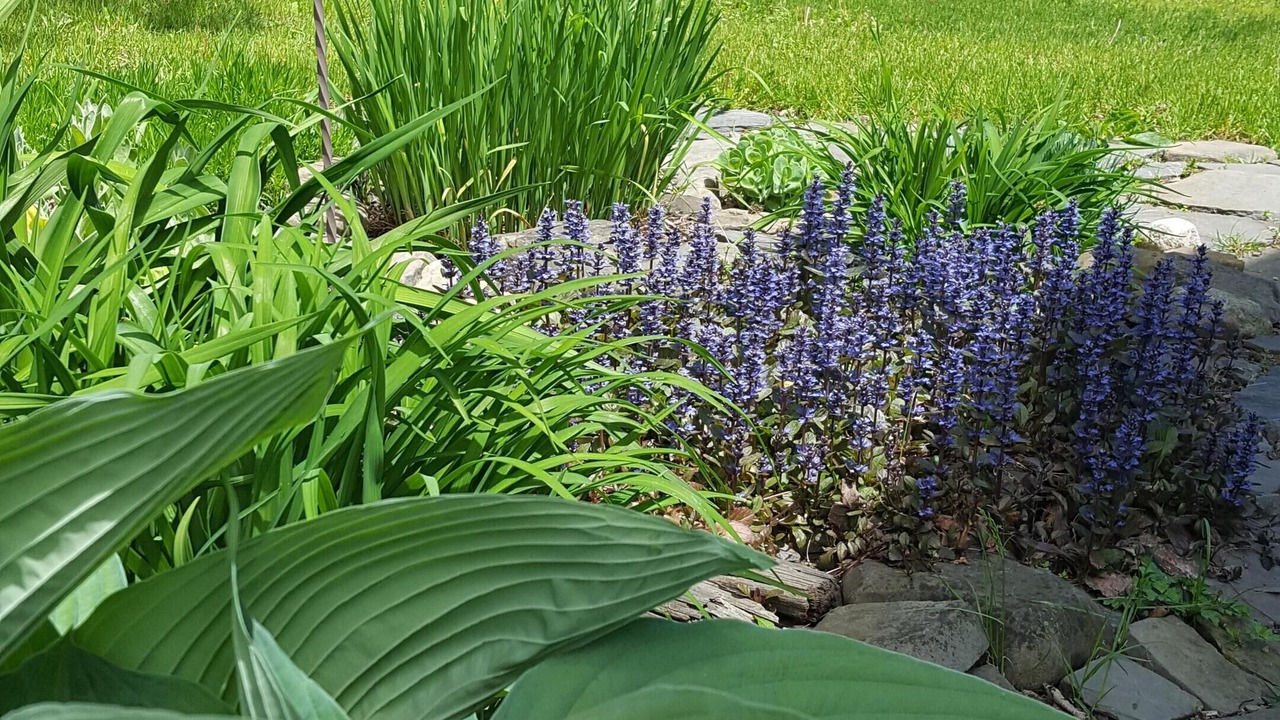 Photo of Outdoor in Trumansburg