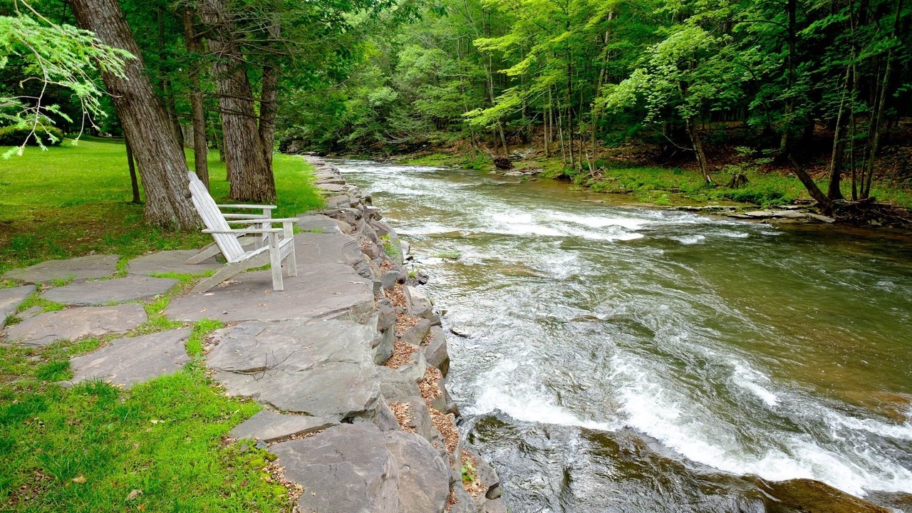 Photo of Others in Woodstock