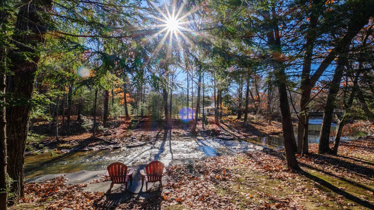 Photo of Others in Woodstock
