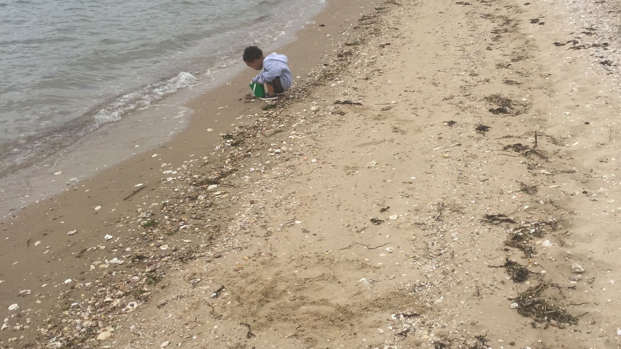 Photo of Others in Greenport