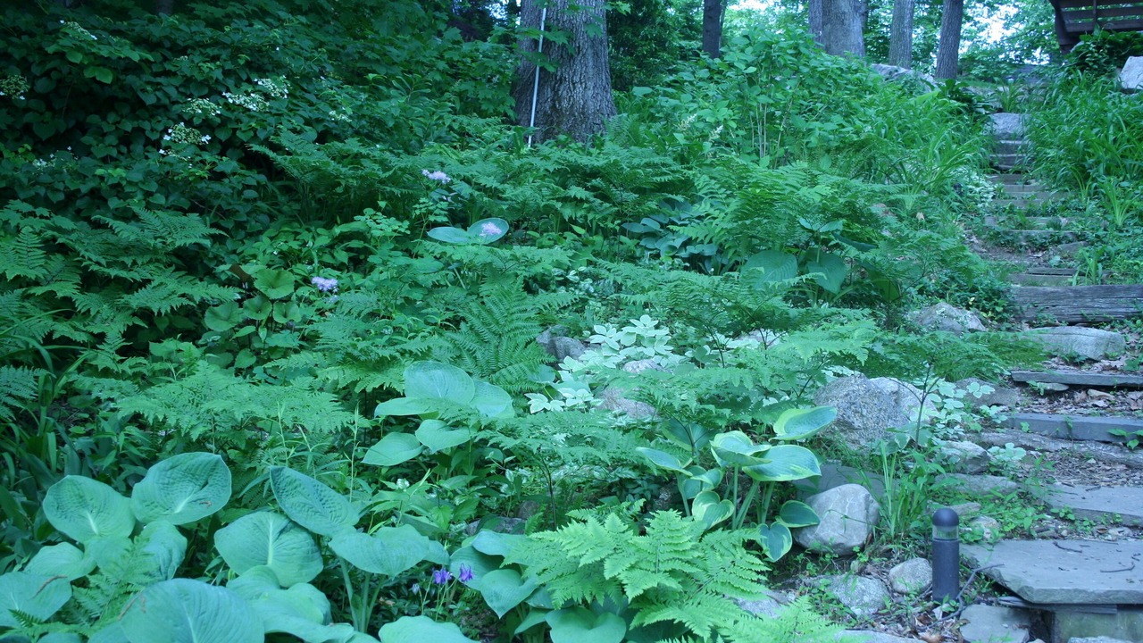 Photo of Others in West Milford