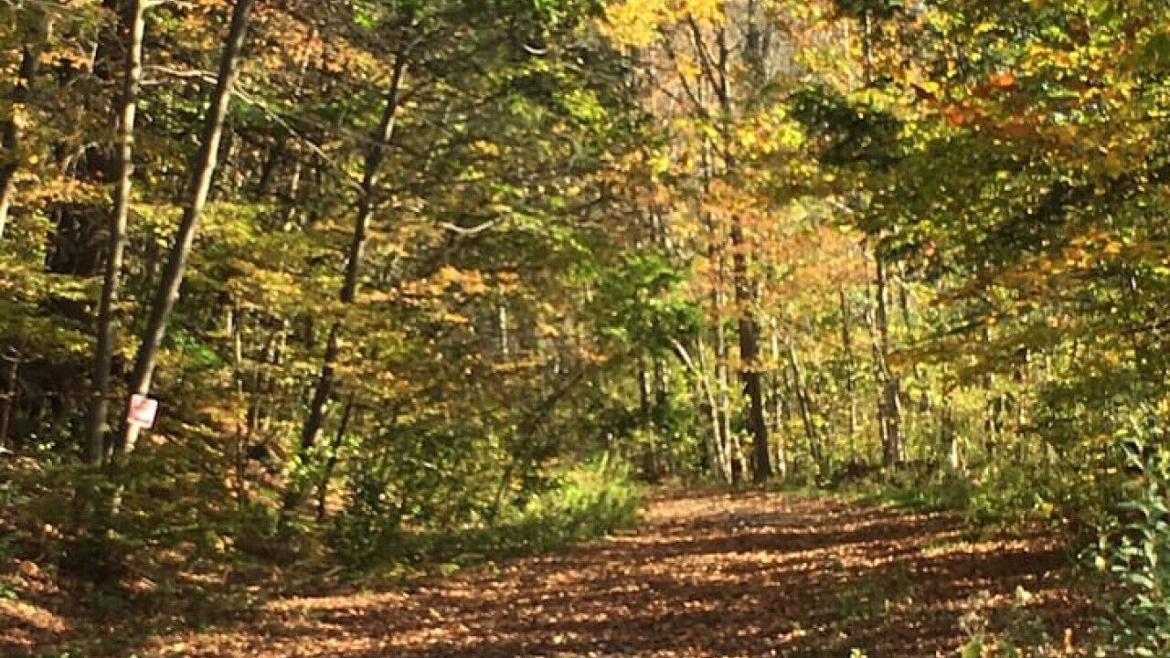 Photo of Others in Shandaken