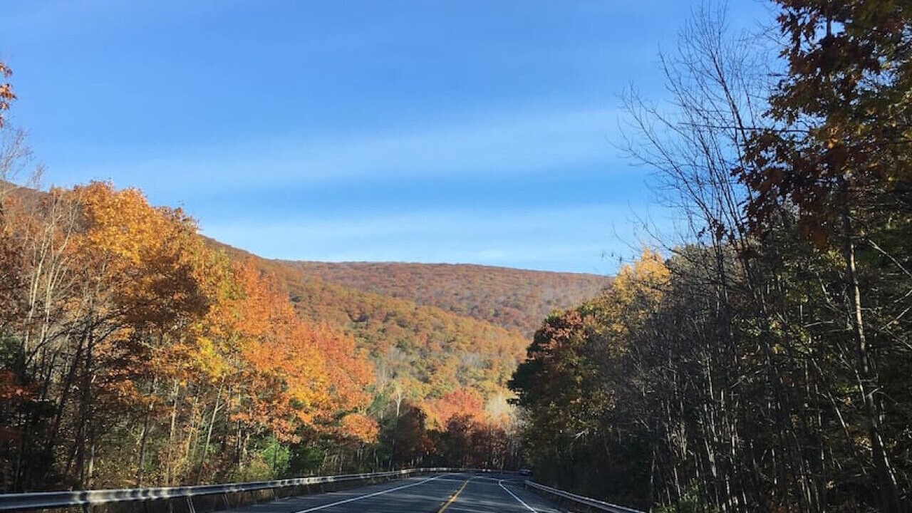 Photo of Outdoor in Shandaken