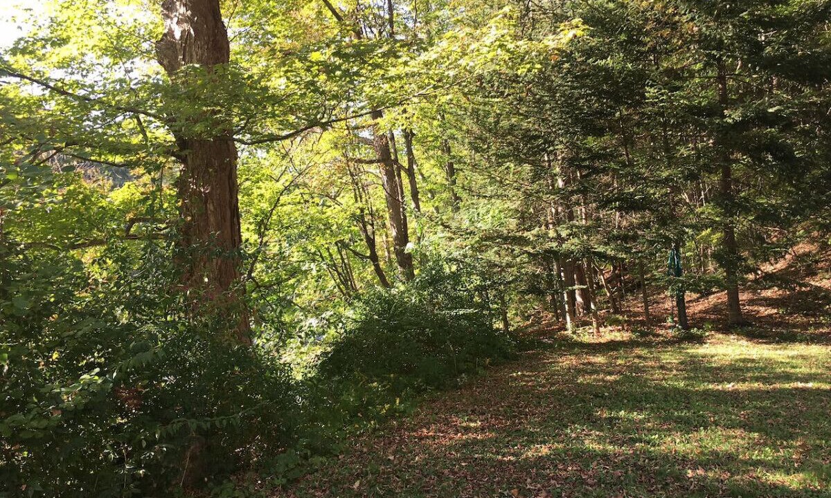 Photo of Outdoor in Shandaken