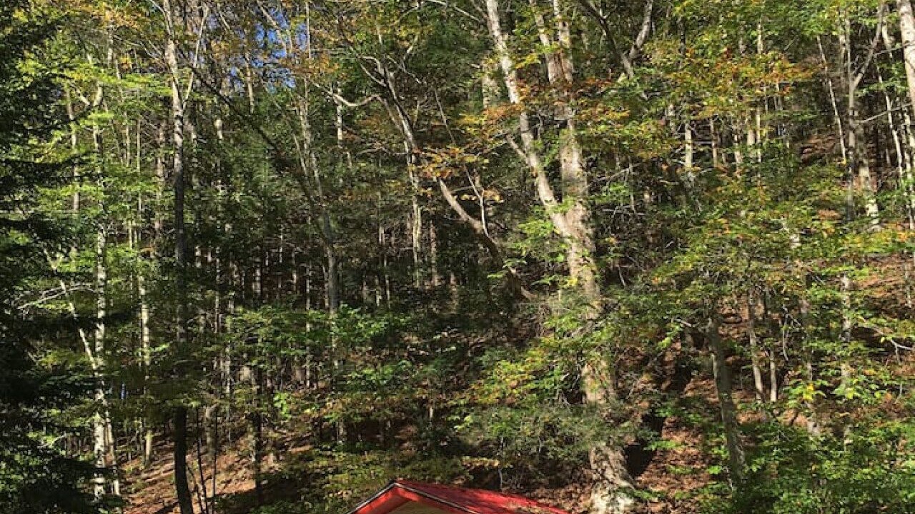 Photo of Outdoor in Shandaken