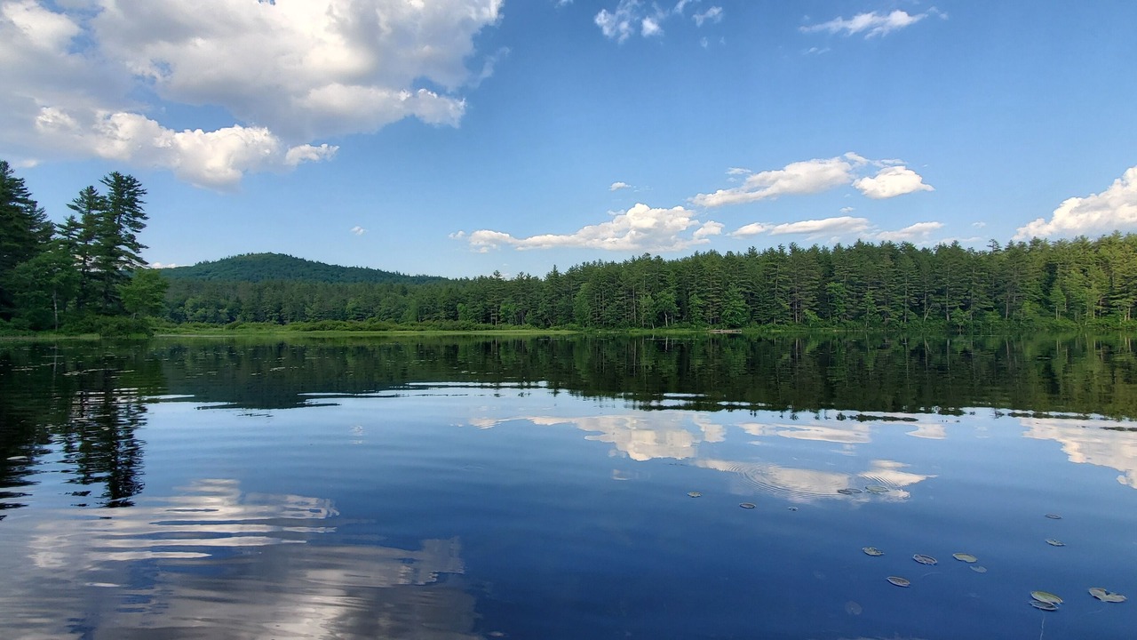 Photo of Outdoor in Freedom
