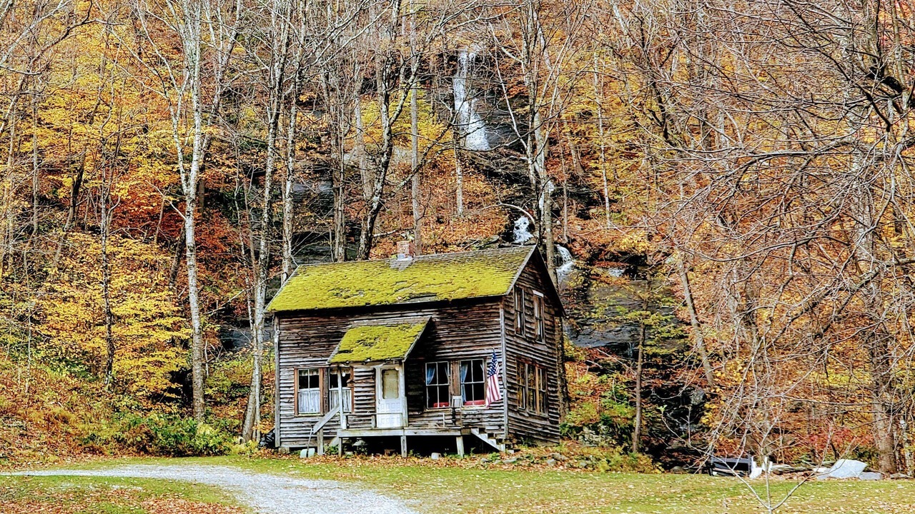 Photo of Outdoor in Dorset