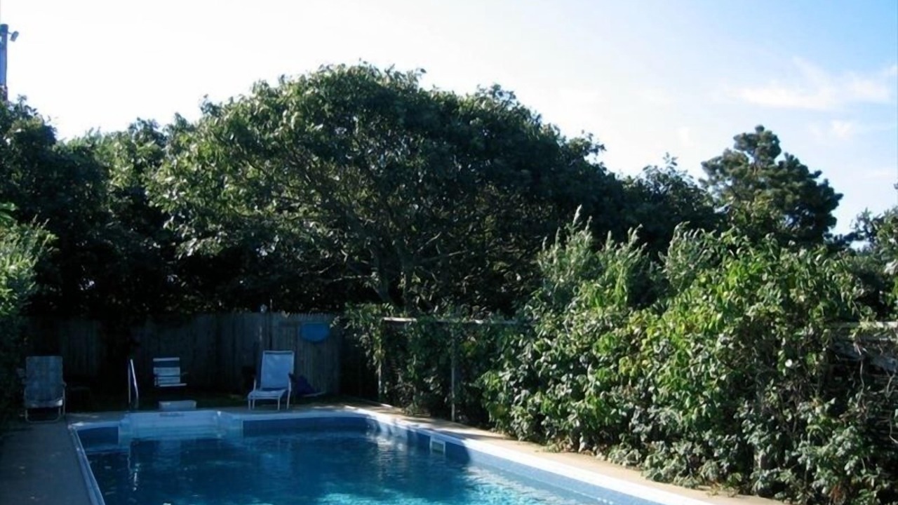 Photo of Outdoor in Aquinnah