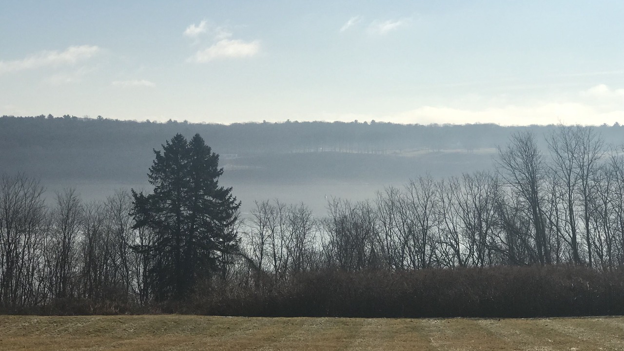 Photo of Others in Saugerties