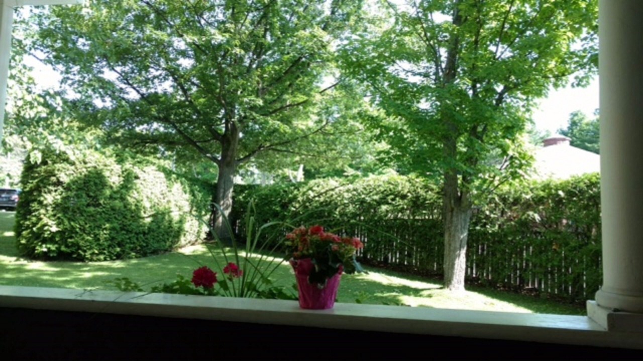 Photo of Outdoor in Hillcrest