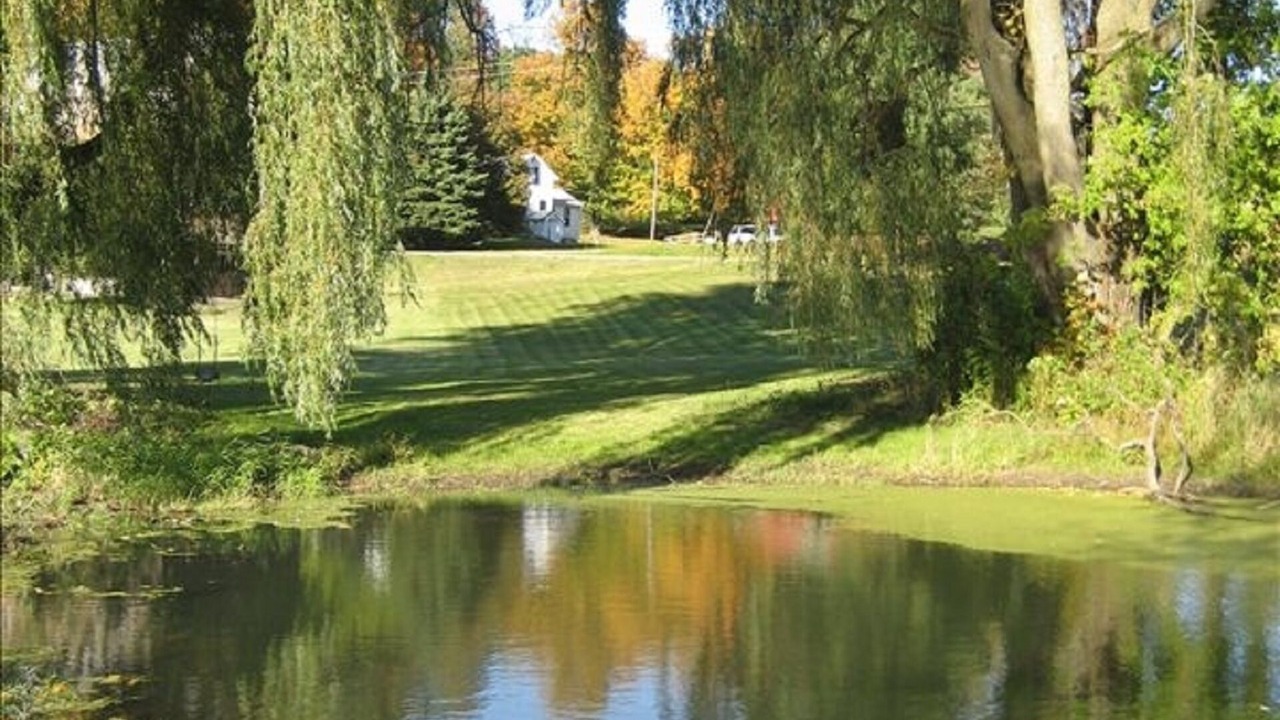 Photo of Others in Cambridge