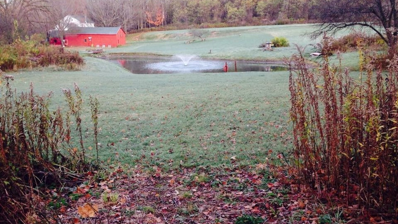 Photo of Outdoor in Cambridge