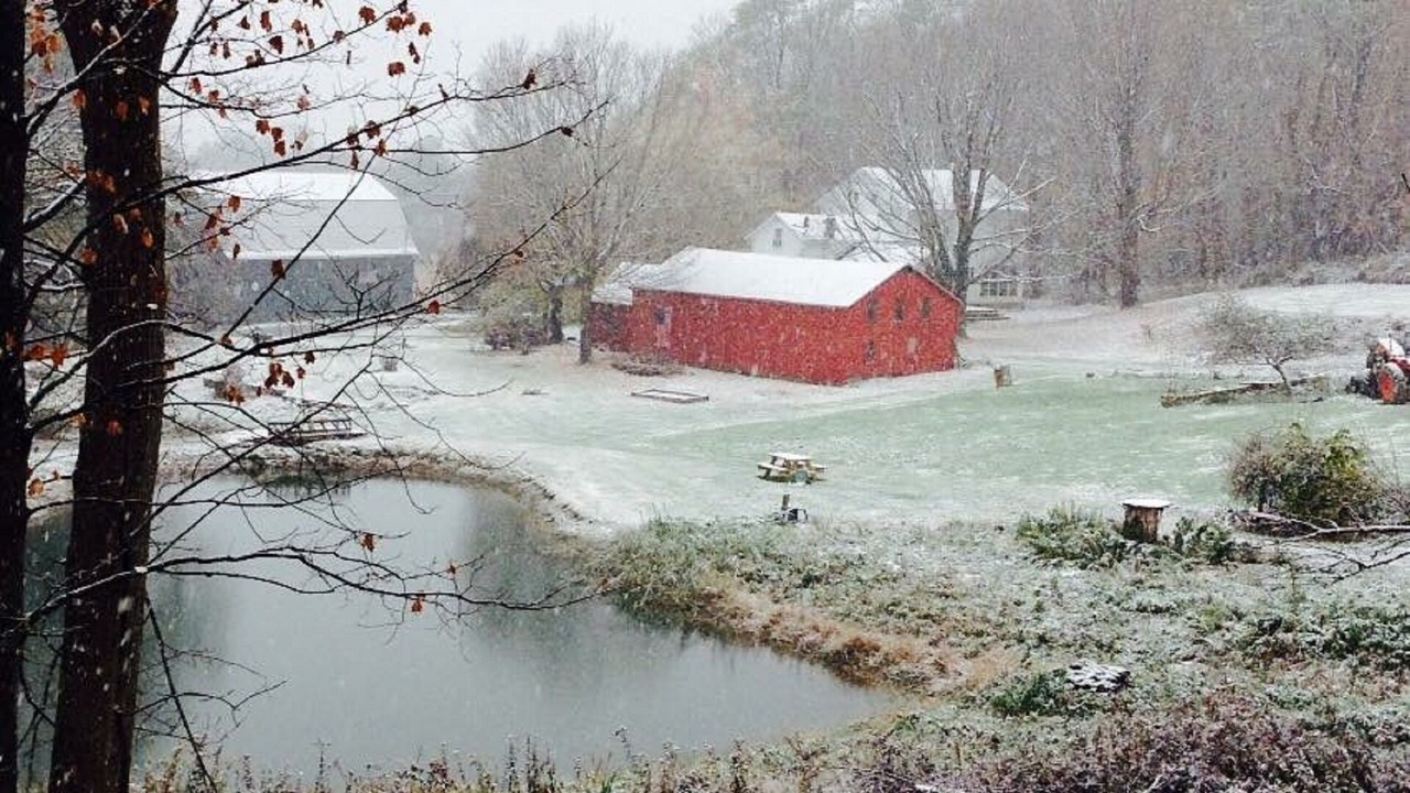 Photo of Outdoor in Cambridge