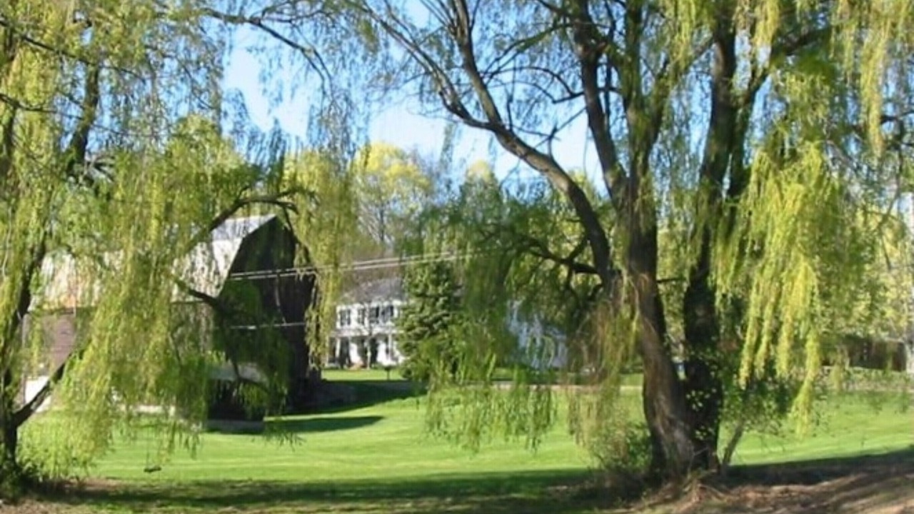 Photo of Outdoor in Cambridge