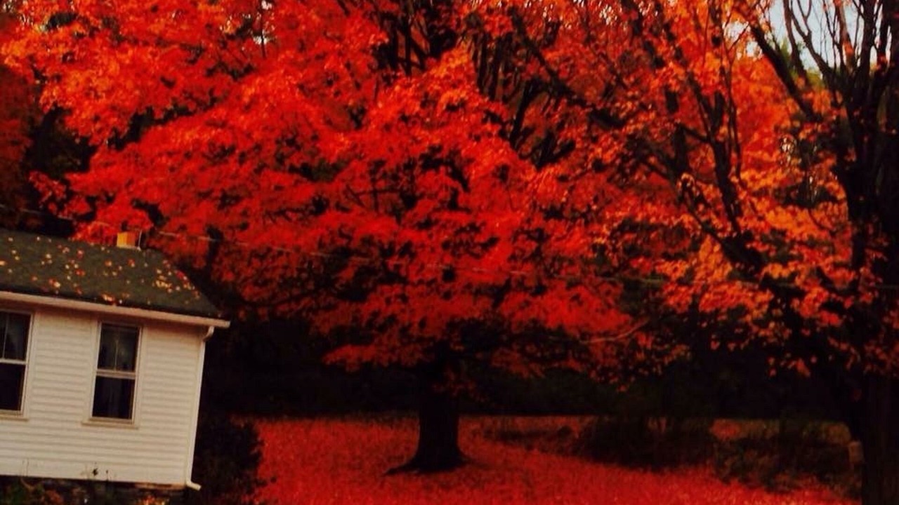 Photo of Outdoor in Cambridge