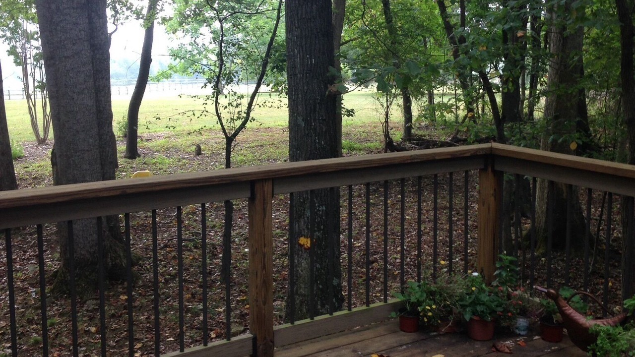 Photo of Others in Nellysford