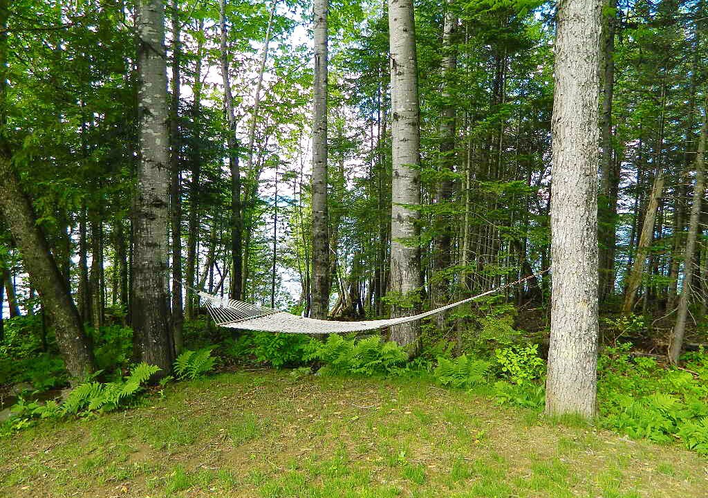 Photo of Others in Rangeley Plantation