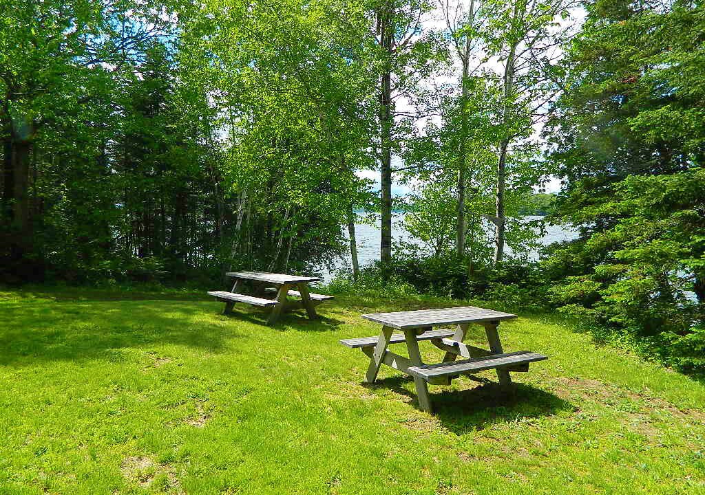 Photo of Others in Rangeley Plantation