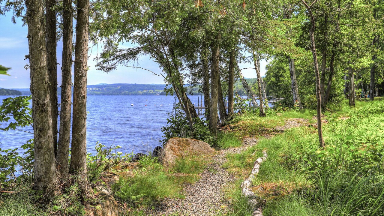 Photo of Others in Rangeley Plantation