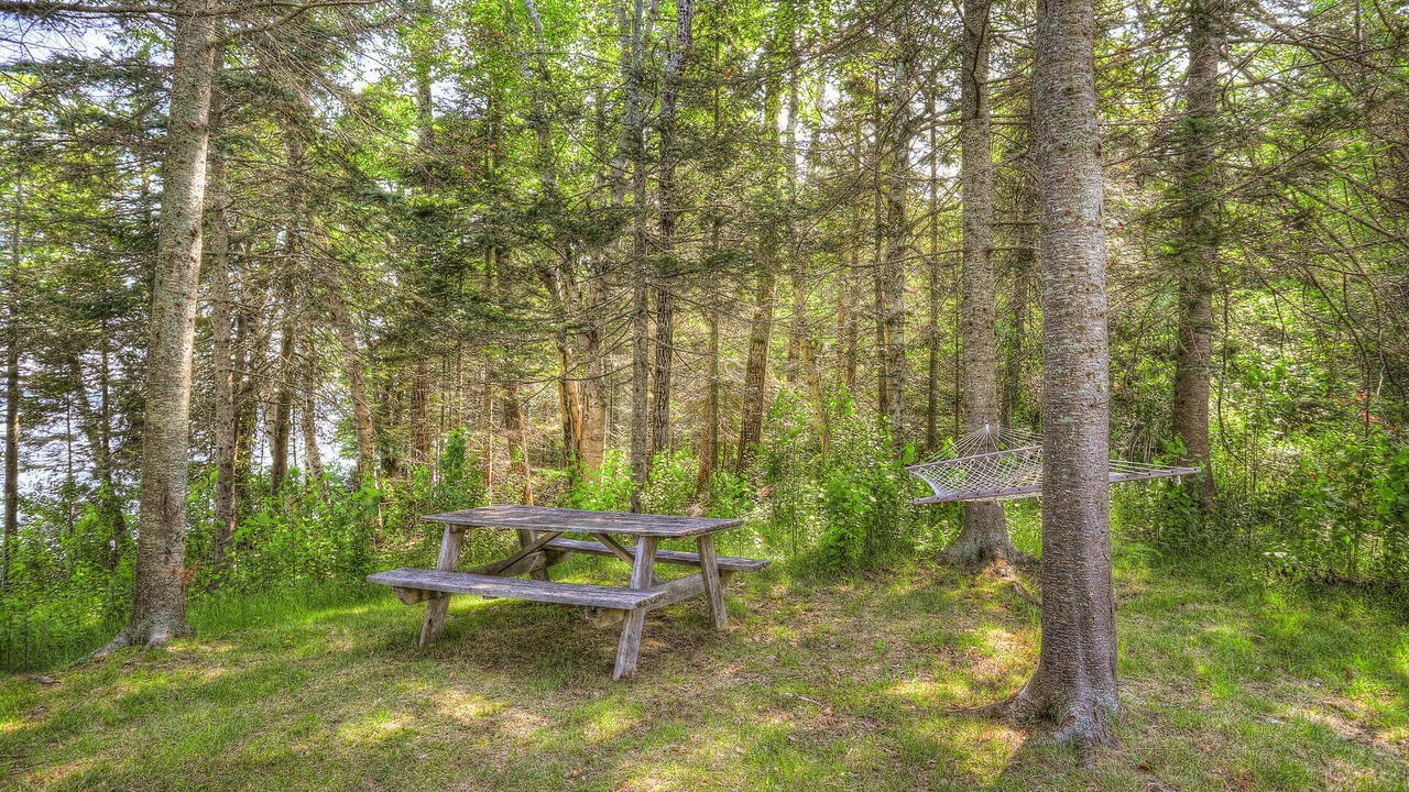 Photo of Others in Rangeley Plantation