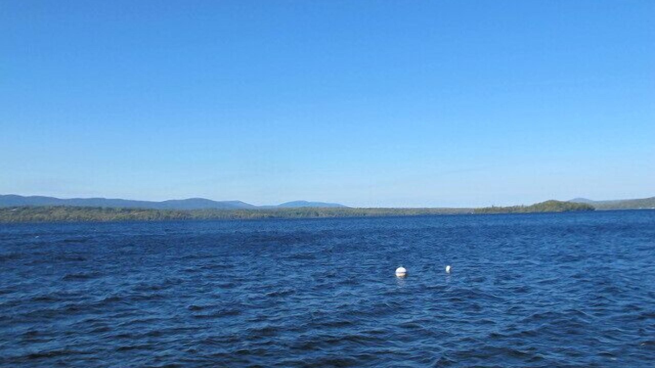 Photo of Others in Rangeley Plantation