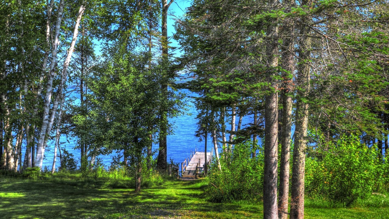 Photo of Outdoor in Rangeley Plantation