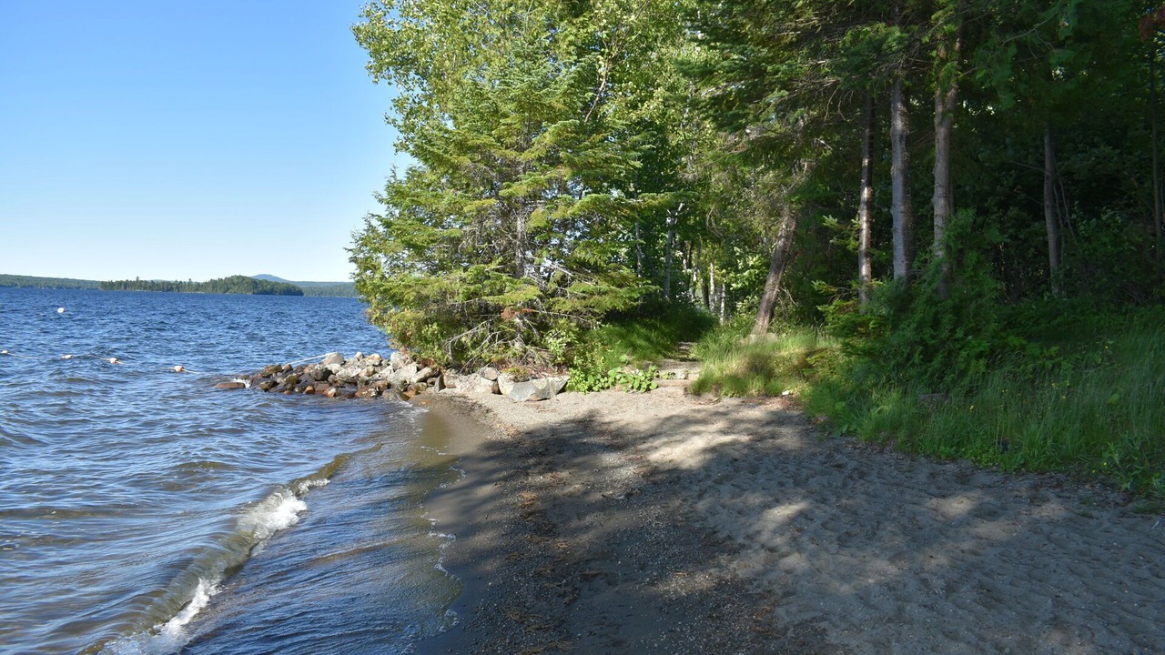 Photo of Others in Rangeley Plantation