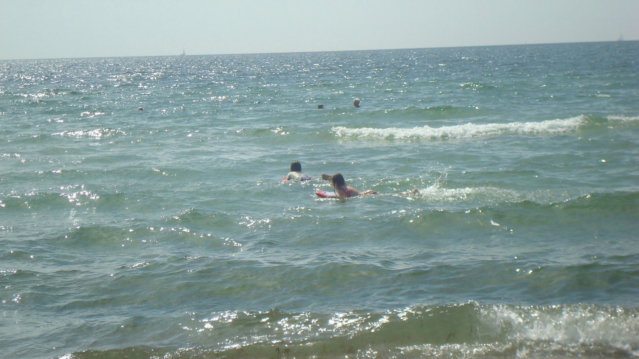 Photo of Others in West Falmouth