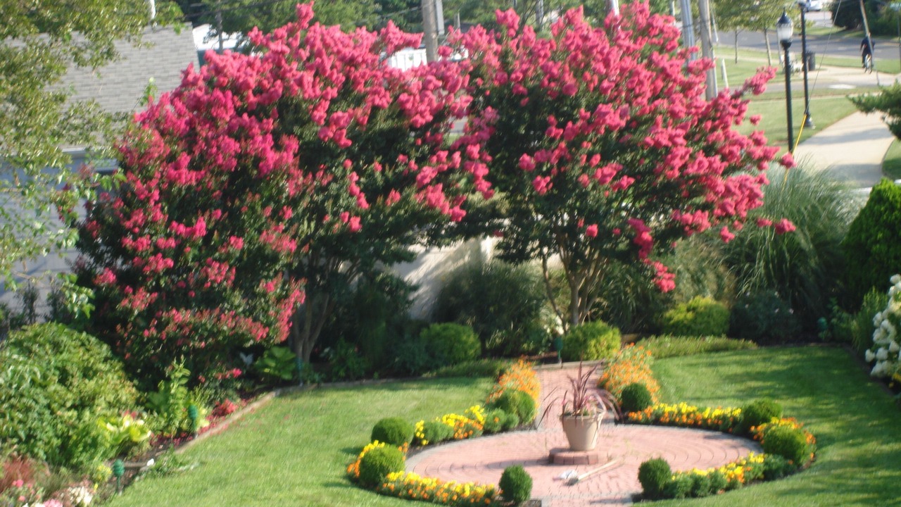 Photo of Outdoor in Long Branch