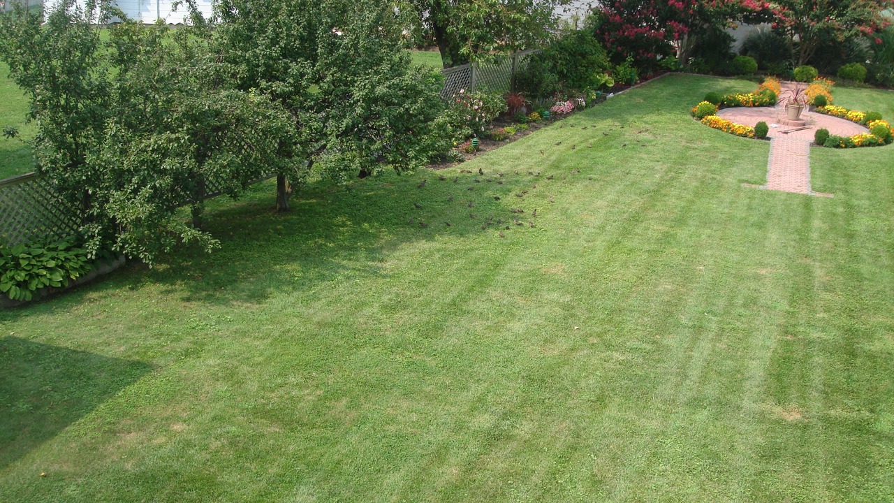 Photo of Outdoor in Long Branch