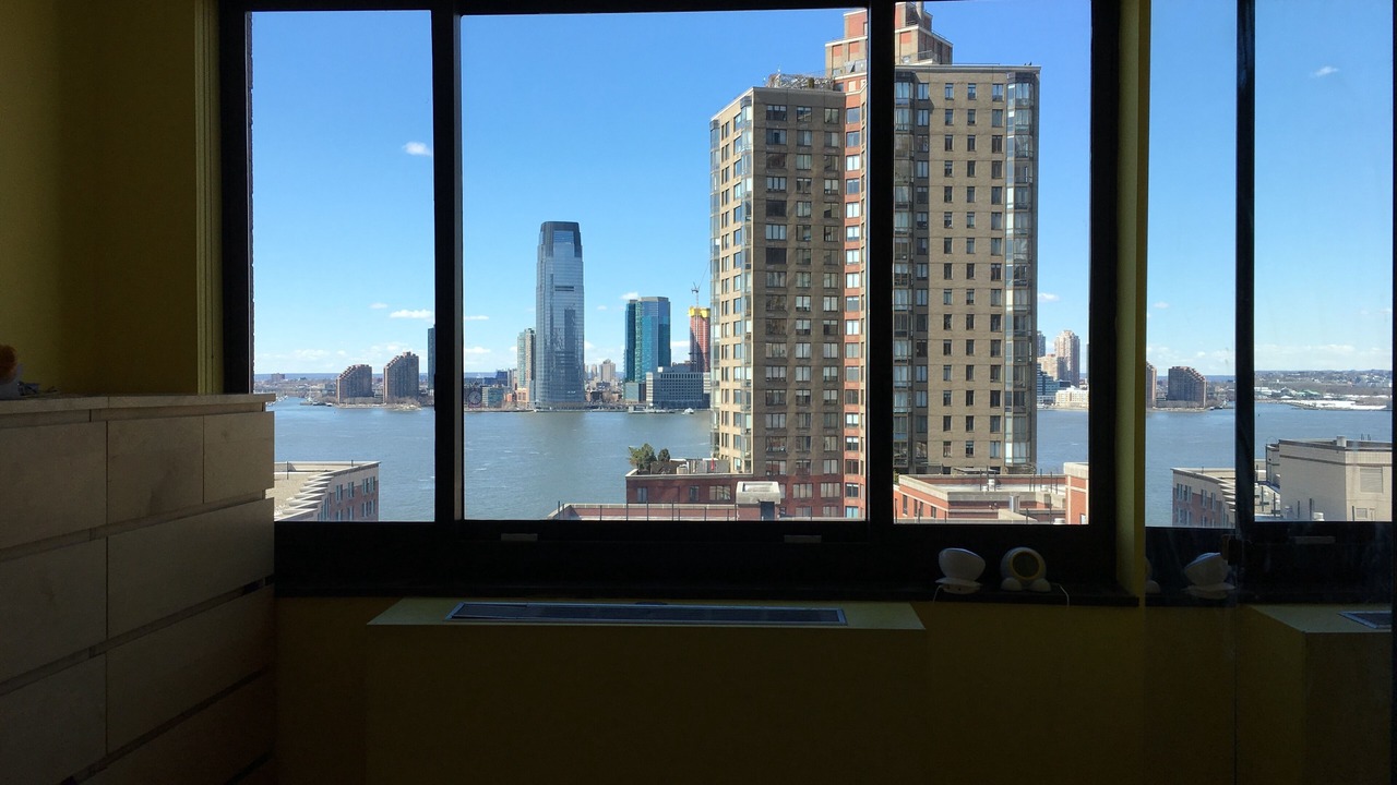 Photo of Others in Battery Park City