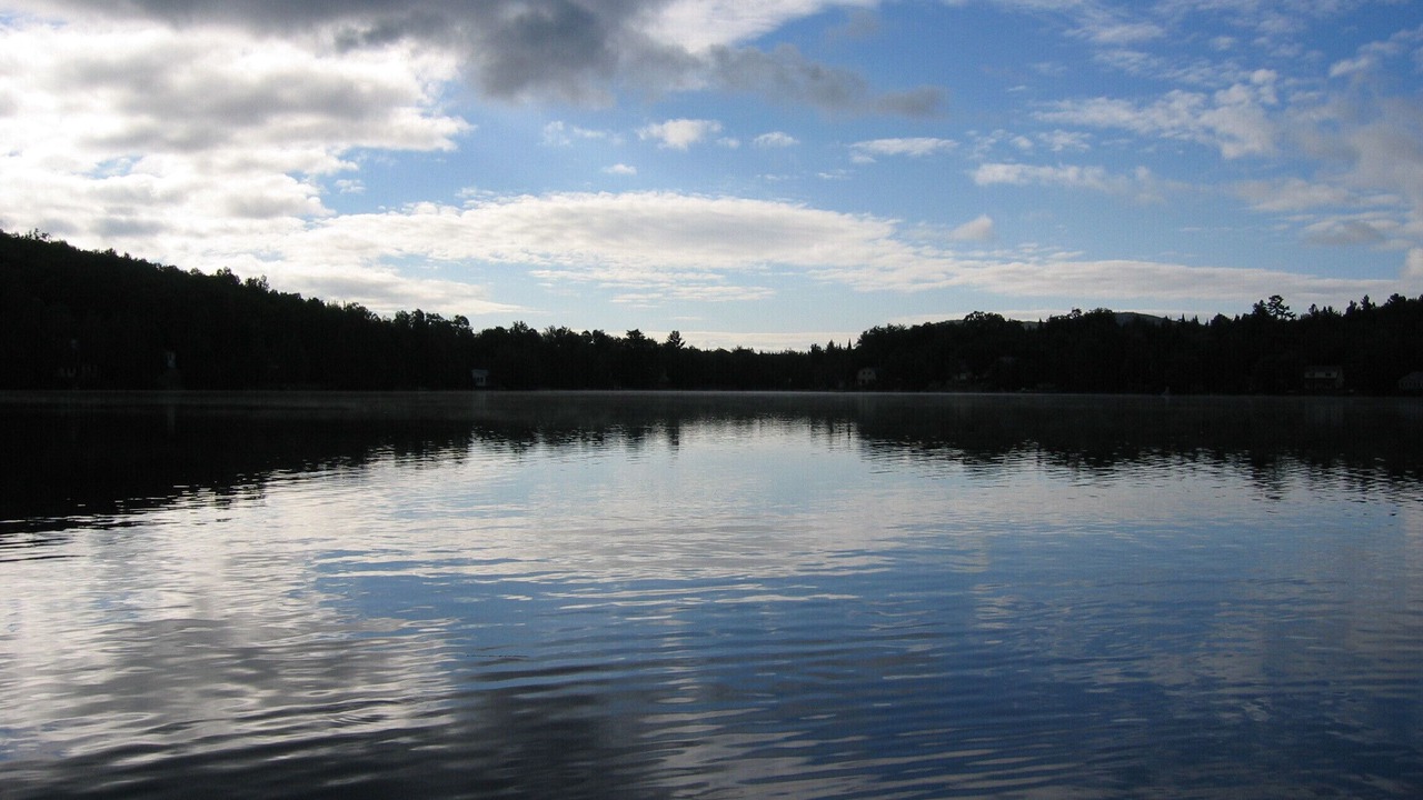Photo of Others in Glover