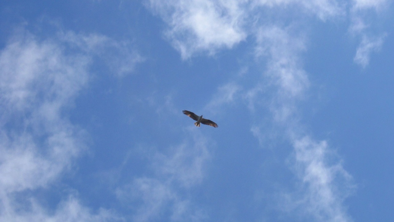 Photo of Others in Glover