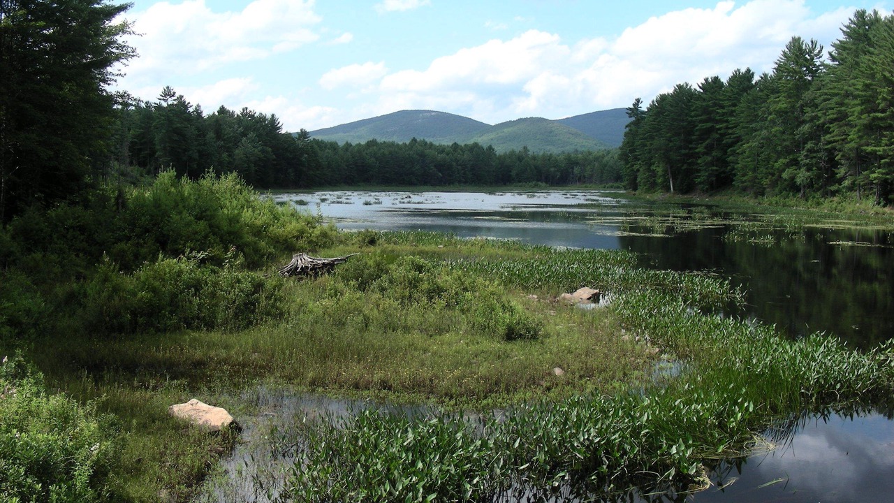 Photo of Outdoor in Gilmanton IW