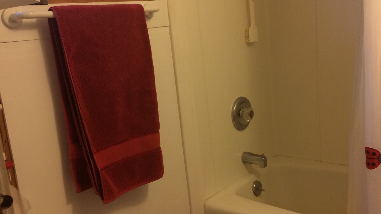 Photo of Bathroom in Williston