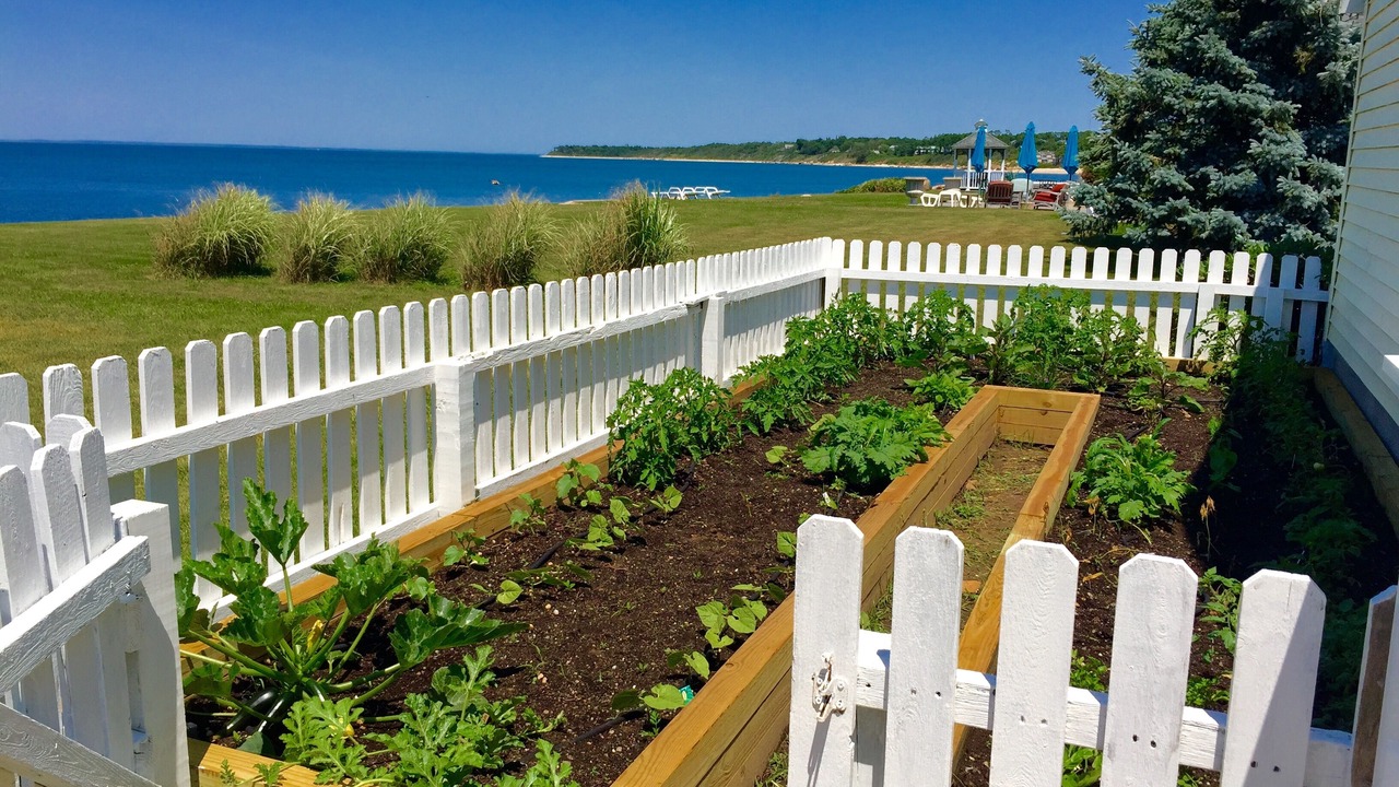 Photo of Outdoor in Greenport