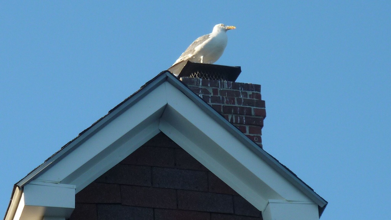 Photo of Others in Hull