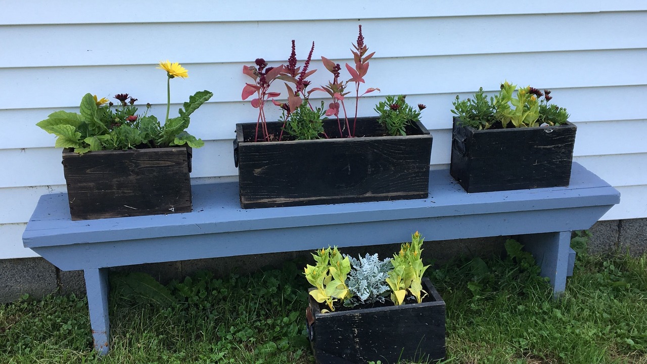 Photo of Outdoor in Burdett