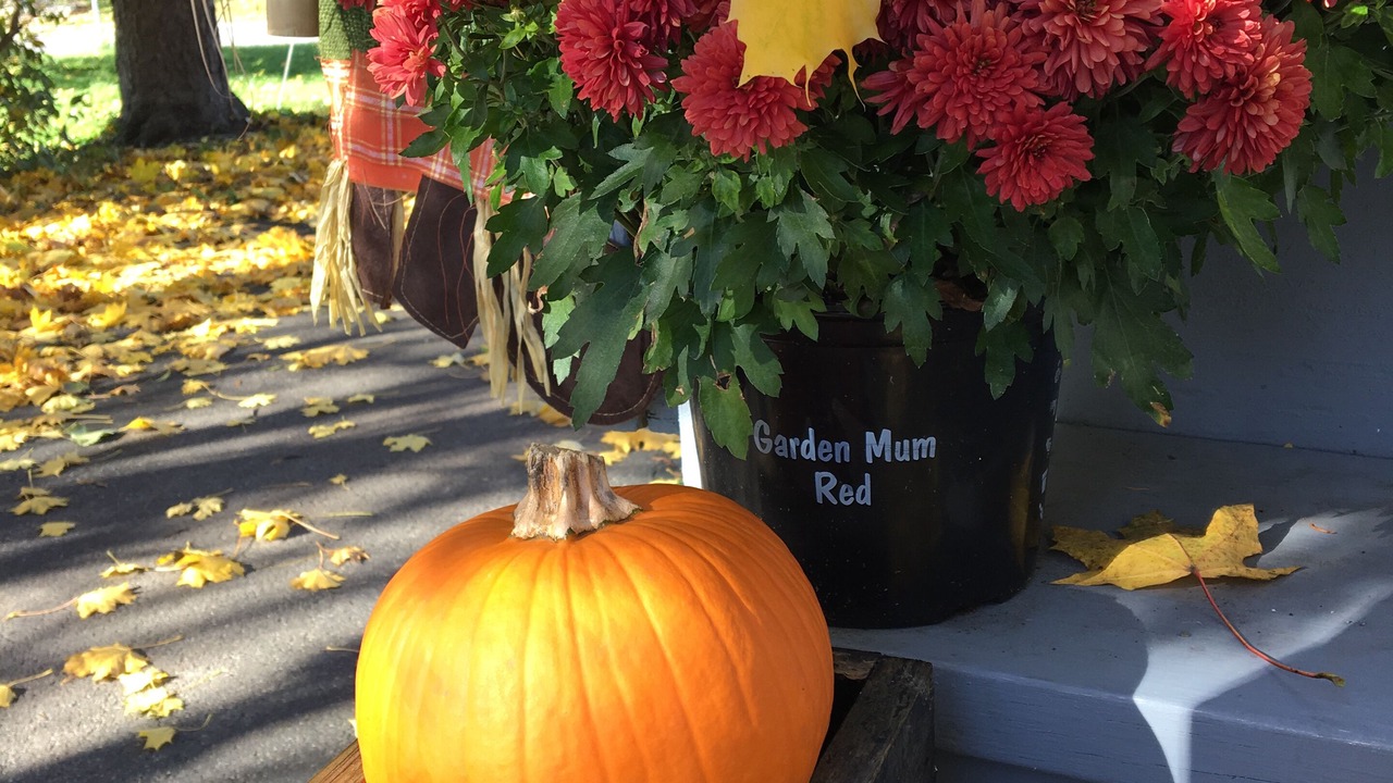 Photo of Outdoor in Burdett
