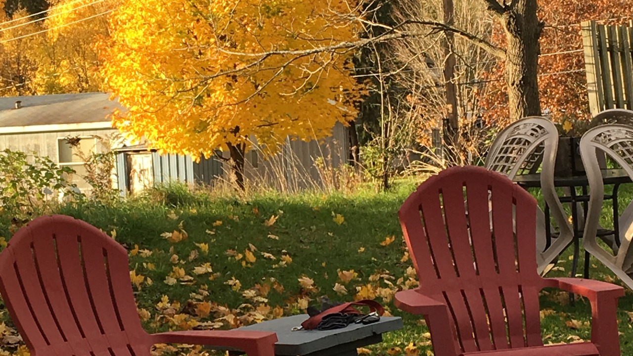 Photo of Outdoor in Burdett