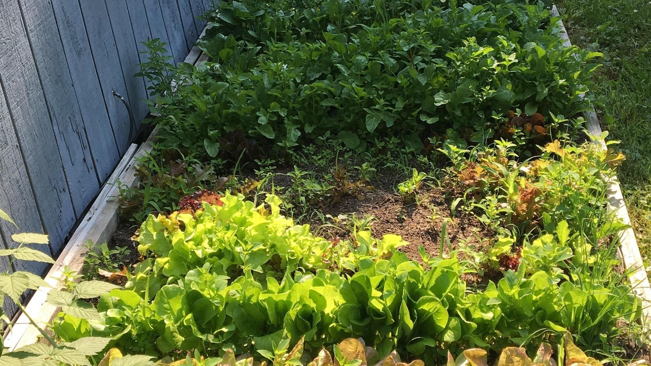 Photo of Outdoor in Burdett