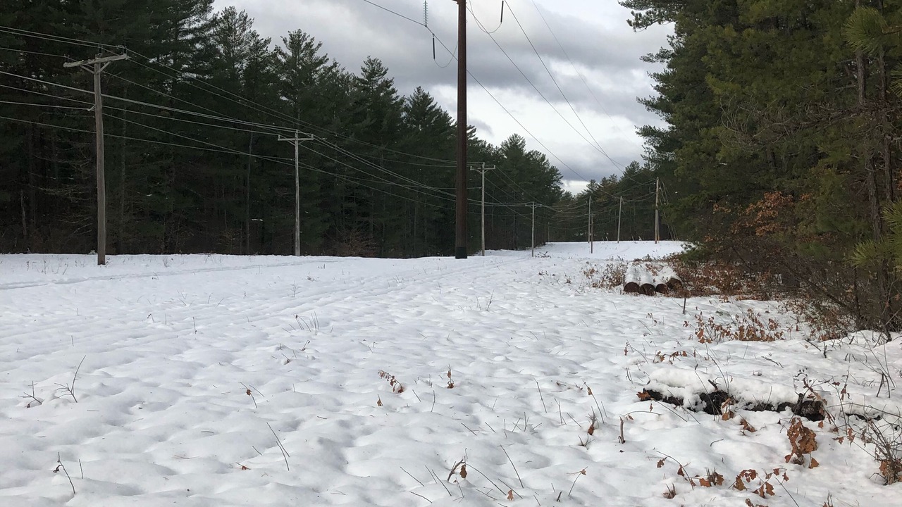 Photo of Others in Chocorua Ski and Beach