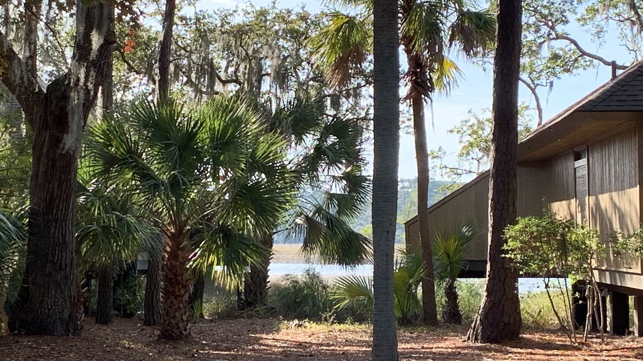 Photo of Outdoor in Moss Creek