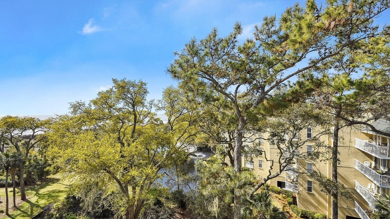 Photo of Others in Palmetto Dunes