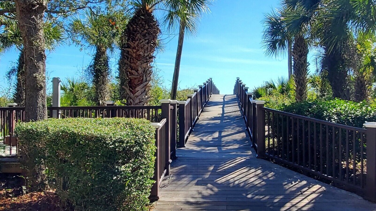 Photo of Others in Palmetto Dunes